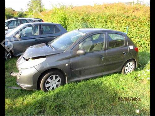 Left front door PEUGEOT 206+ (2L_, 2M_) 1.4 HDi eco 70 | BP24907039C2 