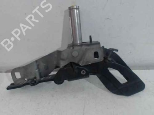 Hinge/Door check strap PEUGEOT RCZ 2.0 HDi | BP24896867C146 
