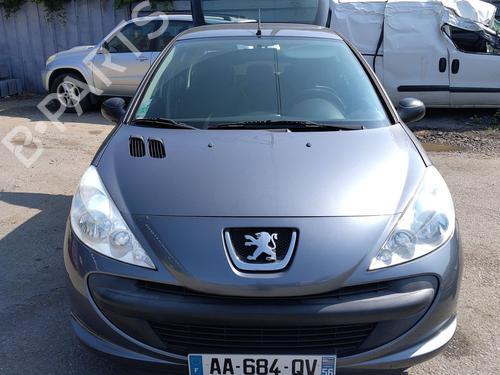 Left front door PEUGEOT 206+ (2L_, 2M_) 1.4 i (2LKFWA, 2MKFWA) | BP27974810C2 