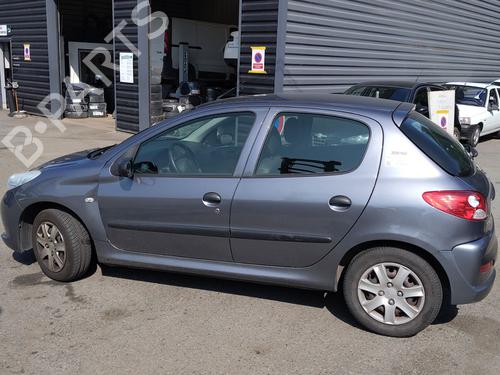 Left rear door PEUGEOT 206+ (2L_, 2M_) 1.4 i (2LKFWA, 2MKFWA) | BP27855759C4 