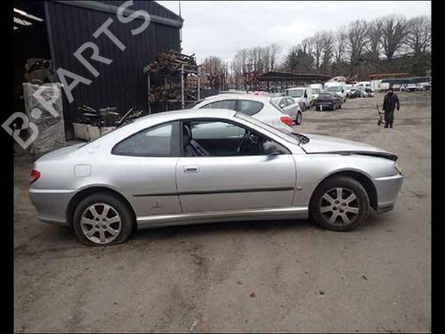 Tailgate PEUGEOT 406 Coupe (8C) 2.0 16V | BP24897485C6 