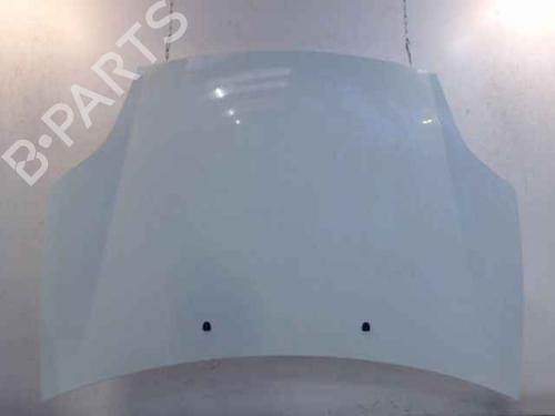 Used Hood FIAT BRAVO II (198_) 1.6 D Multijet (198AXH1B) (105 hp) 24896930