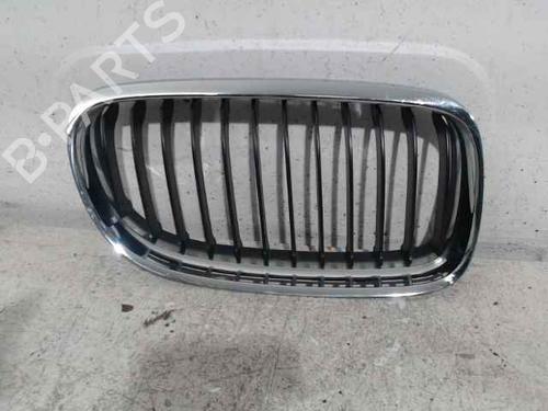 Used Grille BMW 3 Touring (E91) 320 d (177 hp) 24900458