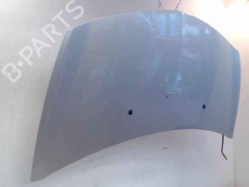 Hood RENAULT CLIO III (BR0/1, CR0/1) 1.5 dCi (C/BR0G, C/BR1G) | BP24897145C1 