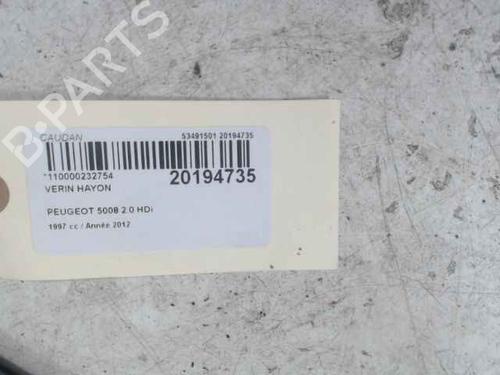 Tailgate lift support PEUGEOT 5008 (0U_, 0E_) 2.0 HDi 150 / BlueHDi 150 | BP24898560C138