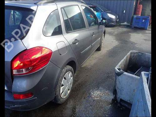 Right rear door RENAULT CLIO III (BR0/1, CR0/1)  | BP24910798C5 