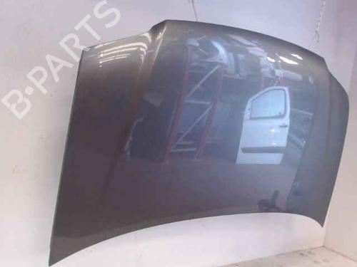 Hood VW TOURAN (1T1, 1T2) 1.9 TDI | BP24896415C1