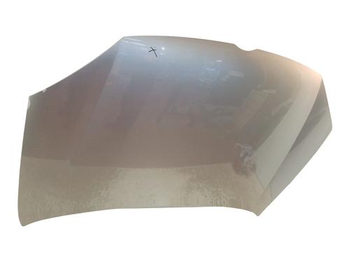 Hood VW GOLF V (1K1) 1.9 TDI | BP29493463C1 