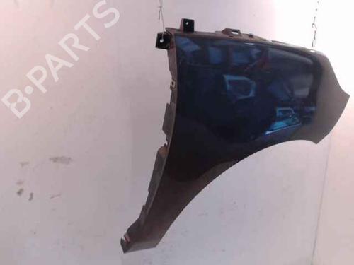 Right front fenders RENAULT SCÉNIC III (JZ0/1_) 1.5 dCi | BP24902048C42 