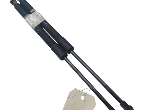 tailgate-lift-support-dacia-duster-hs_-2010-2011-2012-2013-2014-2015-2016-2017-2018-34045494 main image