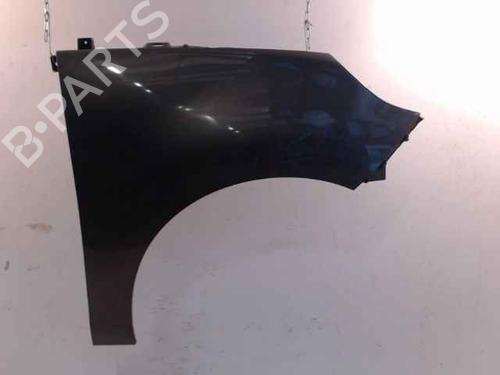 Used Right front fenders RENAULT SCÉNIC III (JZ0/1_) 1.5 dCi (110 hp) 24902048