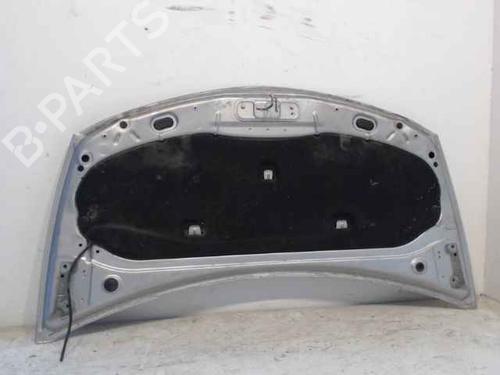 Hood RENAULT CLIO III Grandtour (KR0/1_)  | BP24896428C1