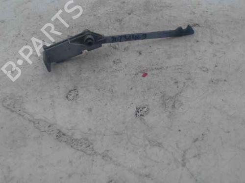 Hinge/Door check strap RENAULT KANGOO Express (FW0/1_)  | BP24907945C146 