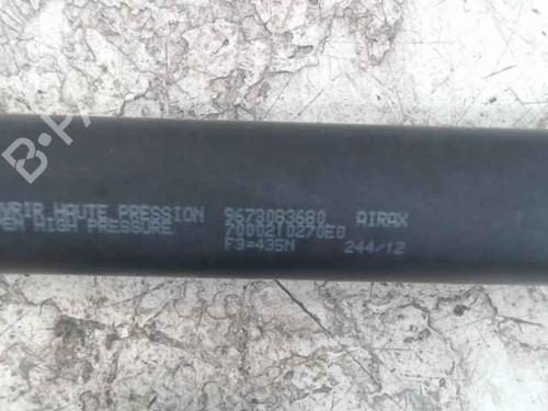Tailgate lift support PEUGEOT 208 I (CA_, CC_) 1.4 HDi | BP24897287C138