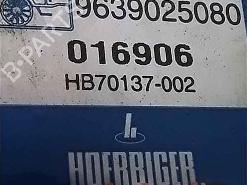 Electronic module PEUGEOT 206 CC (2D) | BP25012410M83