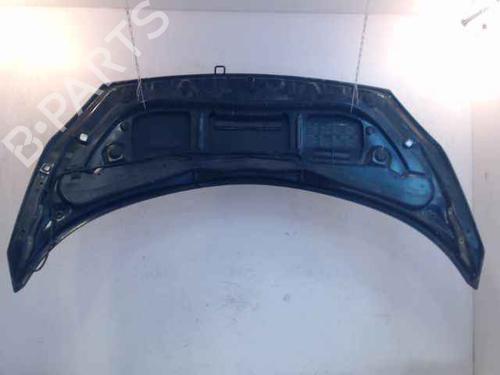 Hood RENAULT GRAND SCÉNIC II (JM0/1_)  | BP24896467C1 