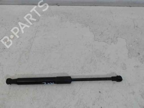 Used Hood lift support PEUGEOT RCZ 2.0 HDi (163 hp) 24896871