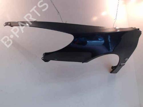Left front fenders PEUGEOT 607 (9D, 9U) 2.7 HDi 24V | BP24900868C41 