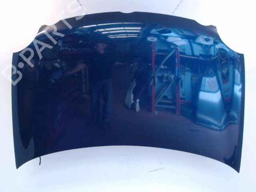 Used Hood VW POLO IV (9N_, 9A_) [2001-2014]  24896494