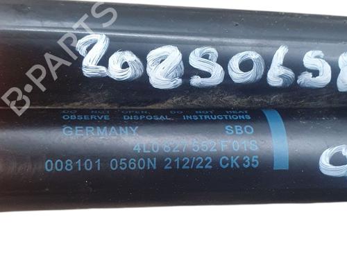 Tailgate lift support RENAULT MEGANE III Hatchback (BZ0/1_, B3_) 1.9 dCi (BZ0N, BZ0J) | BP30187162C138