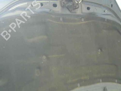 Hood VW POLO IV (9N_, 9A_) 1.4 TDI | BP24896948C1 