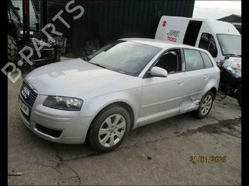 Left front door AUDI A3 Sportback (8PA) 1.9 TDI | BP24906386C2 