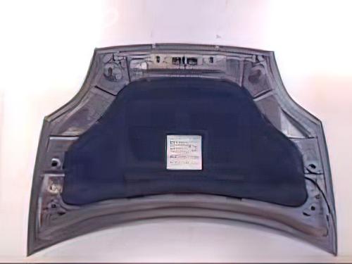 Hood FIAT BRAVO II (198_) 1.9 D Multijet (198AXE1A) | BP24896425C1