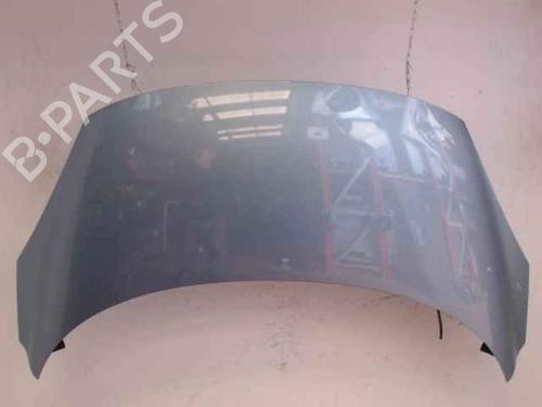 Used Hood RENAULT SCÉNIC III (JZ0/1_) 1.5 dCi (110 hp) 24896889