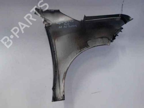 Left front fenders RENAULT MEGANE III Grandtour (KZ0/1) 1.5 dCi (KZ09, KZ0D, KZ1G, KZ29, KZ14, KZ1W, KZ10, KZ1F,... | BP24901048C41 