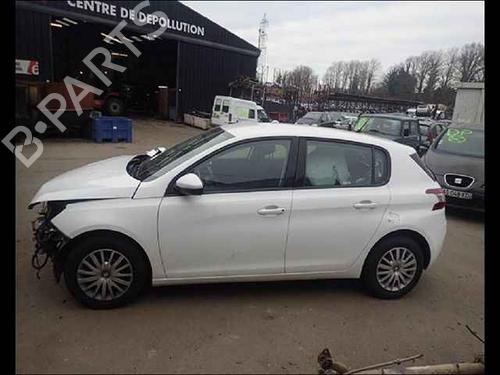 Left rear door PEUGEOT 308 II (LB_, LP_, LW_, LH_, L3_) 1.6 HDi 100 | BP24906615C4