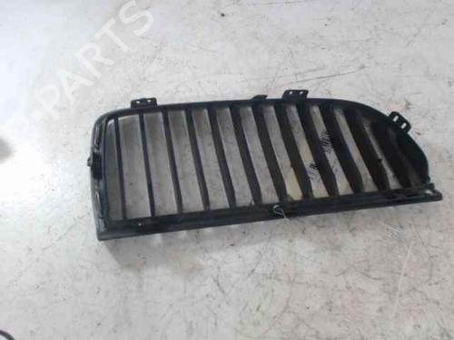Grille BMW 3 (E90) 318 d | BP24900889C40 