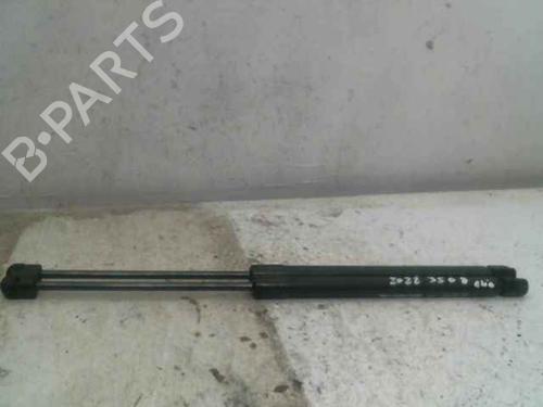 Used Tailgate lift support RENAULT CLIO III Grandtour (KR0/1_) 1.5 dCi (KR0F) (86 hp) 24898047