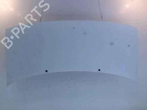 Used Hood PEUGEOT EXPERT Van (222) 1.9 D 70 (69 hp) 24896724