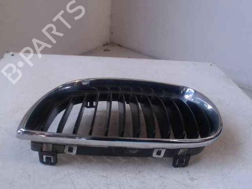 Grille BMW 1 (E87) 118 d | BP24901041C40 