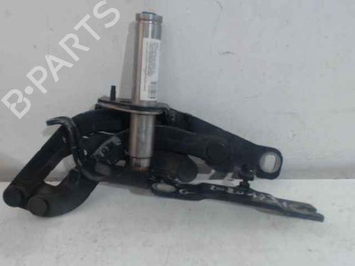 Hinge/Door check strap PEUGEOT RCZ 2.0 HDi | BP24896867C146 