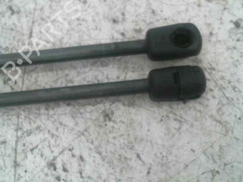 Tailgate lift support RENAULT MEGANE II Estate (KM0/1_) 1.5 dCi (KM02, KM13) | BP24897392C138 