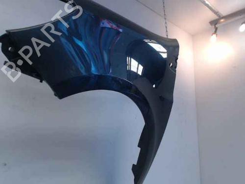 Left front fenders RENAULT CLIO III (BR0/1, CR0/1) 1.5 dCi (BR17, CR17) | BP24900323C41 