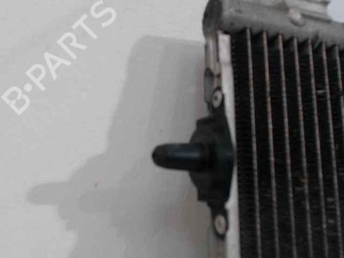 AC radiator PEUGEOT 2008 I (CU_) 1.2 VTi | BP24895782M32 