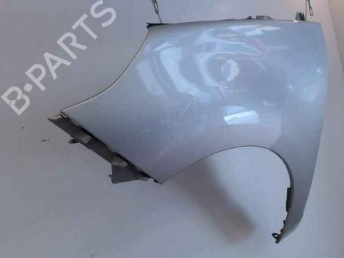 Left front fenders RENAULT SCÉNIC III (JZ0/1_) 1.5 dCi | BP24901011C41 