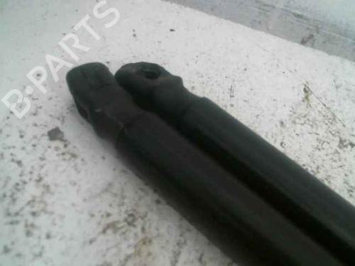 Tailgate lift support CITROËN C4 Picasso I MPV (UD_)  | BP24898119C138 