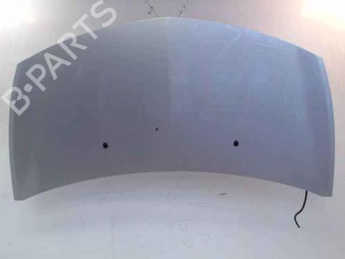 Used Hood RENAULT CLIO III (BR0/1, CR0/1) 1.5 dCi (C/BR0G, C/BR1G) (68 hp) 24897145