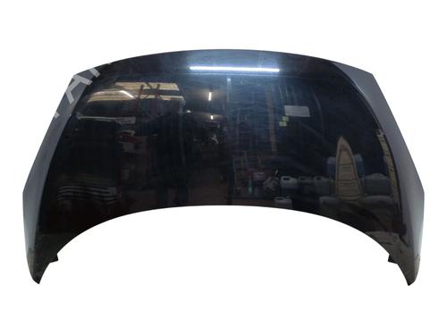 Used Hood RENAULT SCÉNIC III (JZ0/1_) 1.5 dCi (110 hp) 30650857