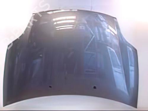 Used Hood FIAT BRAVO II (198_) 1.9 D Multijet (198AXE1A) (90 hp) 24896425
