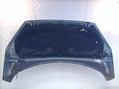 Hood PEUGEOT 308 I (4A_, 4C_) 1.6 HDi | BP24896438C1