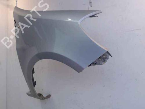 Right front fenders RENAULT CLIO III (BR0/1, CR0/1) 1.2 16V (BR02, BR0J, BR11, CR02, CR0J, CR11) | BP24902057C42 