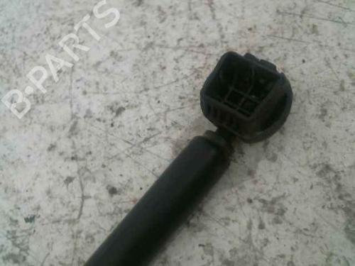 Hood lift support RENAULT MEGANE III Hatchback (BZ0/1_, B3_) 1.6 dCi (BZ00, BZ12, BZ13) | BP25011701C139 