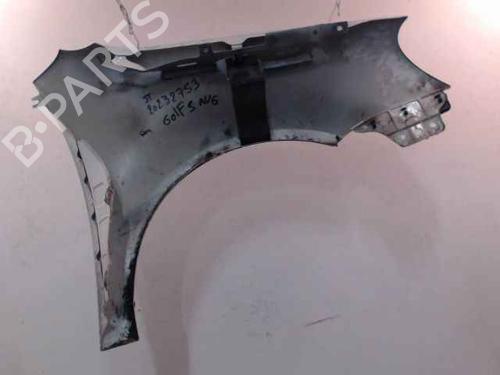 Left front fenders VW GOLF V (1K1)  | BP24901082C41 