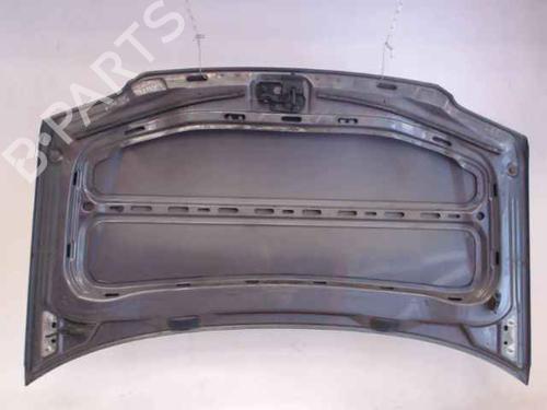 Hood VW TOURAN (1T1, 1T2) 1.9 TDI | BP24896415C1