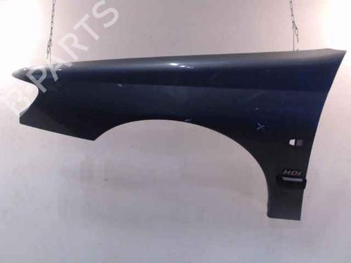 Used Left front fenders PEUGEOT 406 (8B) 2.0 HDI 110 (109 hp) 24900427