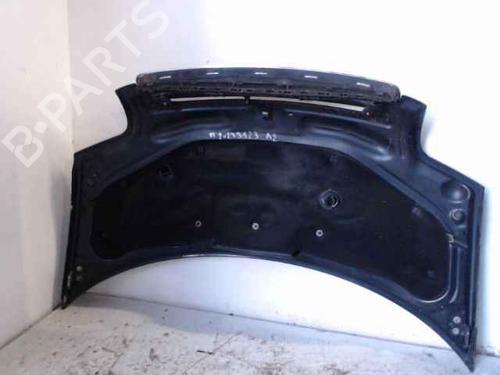 Hood AUDI A2 (8Z0) 1.4 | BP24896527C1 